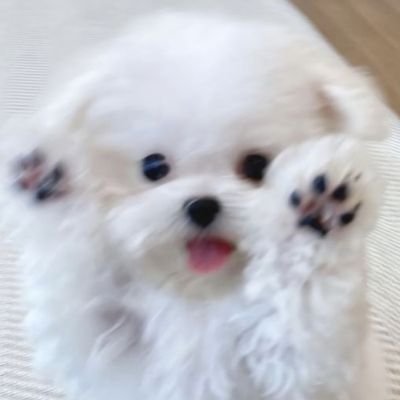 yechanilover Profile Picture