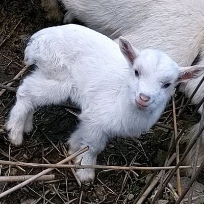 居場所ないけれど遍在してるのかもしれません