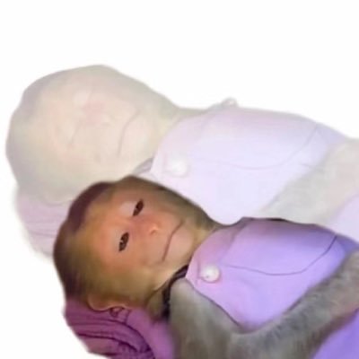 Elsieee_Z's profile picture. 