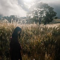 こばさん (@koba3_photo) 's Twitter Profile Photo