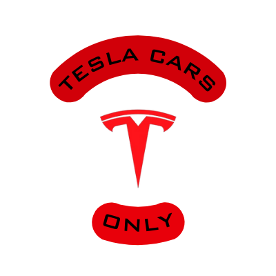 TESLA CARS ONLY.⚡ Profile