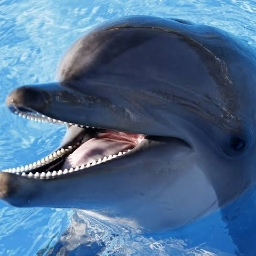 DunklerPrinz3's profile picture. Mewgenicspilled