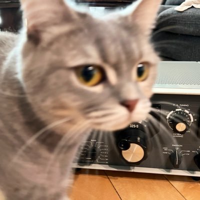 shigaac115's profile picture. Twitterデビューして8年❣️ カッコ無線じゃなく拘りを持って楽しんでる無線局が好きです。自身もそうありたいな。アマは電話級→電信級→2アマ…じゃあ1アマは？いつかきっと😅 モットーは能ある鷹は爪を隠す、能のない鷹は爪を丸出し…オレは後の方だな