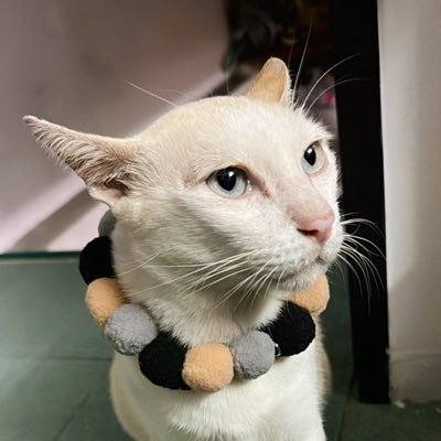 pookan1995's profile picture. 🌚 diary story. ... ... . 🖌