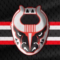 Birmingham Bulls(@BullsBirmingham) 's Twitter Profile Photo