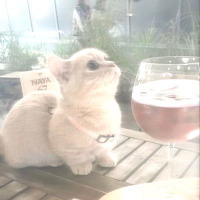 m10mik_'s profile picture. 🐻‍❄️jiyooon