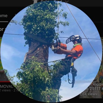 21 year old qualified arborist from the UK 🌳