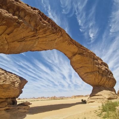 laurentlemoal's profile picture. 