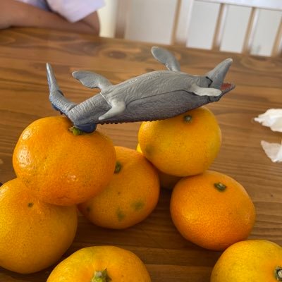 h1sq_m's profile picture. 