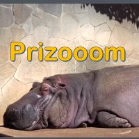 Prizooom (@aipython_scikit) 's Twitter Profile