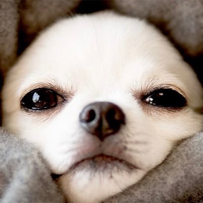 miyadaiagri's profile picture. 宮大農 森林 B2 🚹