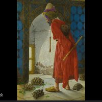 kaplumbaga_terbiyecisi (@kplmbgtrbycs1) 's Twitter Profile