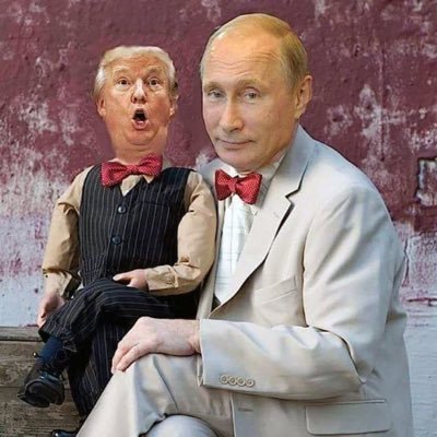 DonLePage4's profile picture. New England Sports fan...Title town USA. Love Doggies and Kitties. Good Listener. Trump Lovers are delusional
