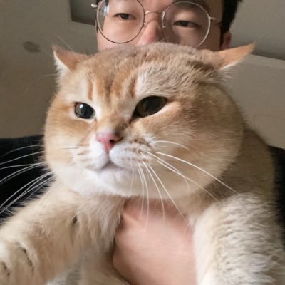 y276161014's profile picture. AI Native Builder | App Crafter. 
体系化学习 AI 编程 
前ByteDance、MiHoYo工程师