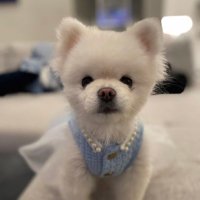Jassy (@clumsyjassy) 's Twitter Profile