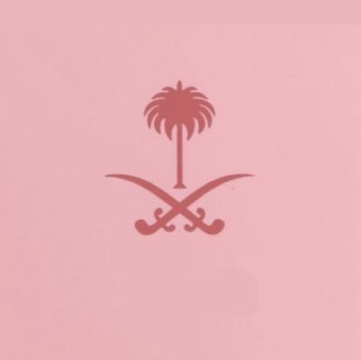 Luna_ksa2040's profile picture. #ℓυиα✨( يؤتكم خيرًا مما أخذ منكم )✨وما أنا إلا عاصفةٌ في القلبِ ، أو نارٌ في الذاكرة . . 
#السعودية_أولاً🇸🇦
#محمد_بن_سلمان ❤