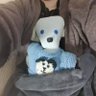 BlueBearEtc's profile picture. King of Bearland, the country in Cuddlyworld where all the teddy bears live. Married to Rosie Bear, & companion to a permanently poorly adult human called Nic.
