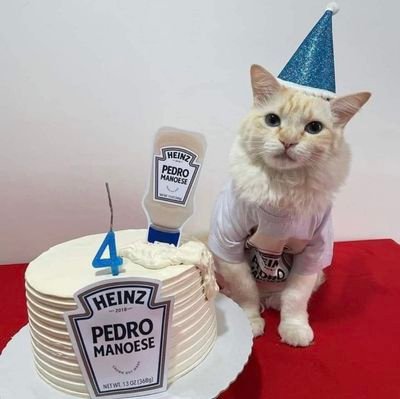 marquinhorsrs's profile picture. .