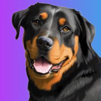 Rottweiler (@rottiesol) 's Twitter Profile Photo Rottweiler (@rottiesol) 's Twitter Profile Photo