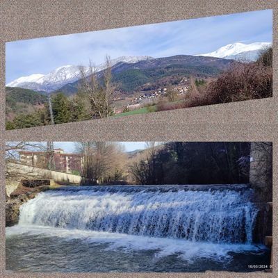 CarmeMonforte's profile picture. 