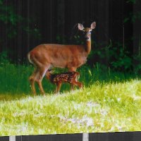 Hank (@hank97276380) 's Twitter Profile Photo