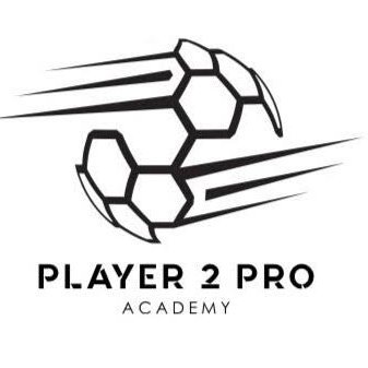 Player2Pro_ Profile Picture