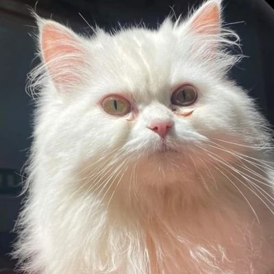 rjh44031669's profile picture. 