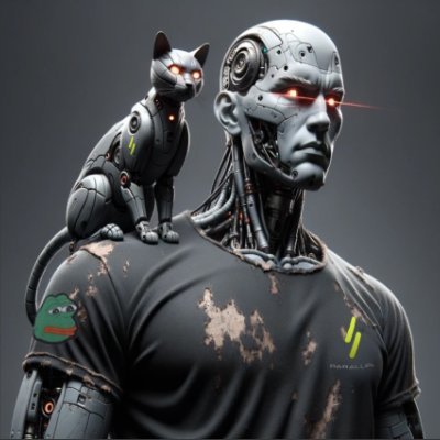 fiboboy's profile picture. 