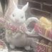 な²ちゅ ♦☕️ (@hi6ari7_77) Twitter profile photo な²ちゅ ♦☕️ (@hi6ari7_77) Twitter profile photo