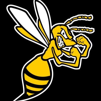 @hornets27bozzo