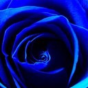 Rebecca Crew - @CrewRebecca - Twitter