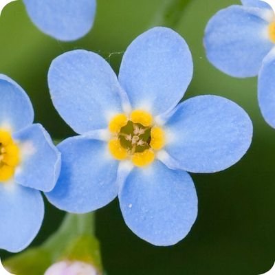 TataiTamas's profile picture. Former carer, dementia advocate. Committed to create a #dementiainclusive society. All views are my own.