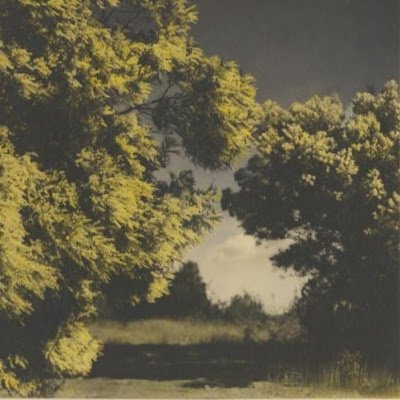 trshpanda21's profile picture. 