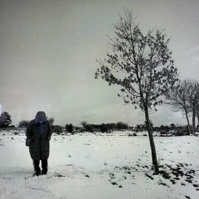 Todo es tan lento como el pasar de un buey sobre la nieve.