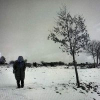 Alba 🦁 (@halconfr) 's Twitter Profile