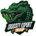 croccity_esportsgroup (@CroccityE57419) Twitter profile photo