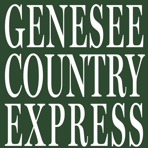 DansvilleNYnews's profile picture. News and information in Dansville, Wayland, Cohocton, Springwater, Nunda and all points between. Also follow reporters @GCE_Les and @GCE_Colleen.