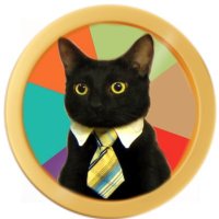 catwiftie (@catwiftie_sol) 's Twitter Profile