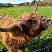 James Donaldson (@jamesfdonaldson) 's Twitter Profile