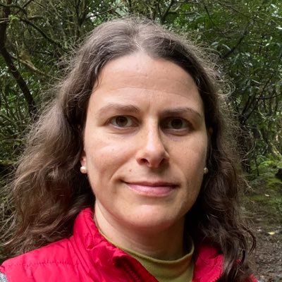 AndreiaCapela1's profile picture. 