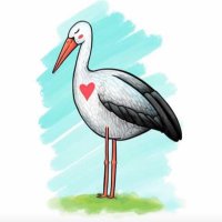 Amigas das Cegoñas (@amigoscegonas) 's Twitter Profile Photo Amigas das Cegoñas (@amigoscegonas) 's Twitter Profile Photo