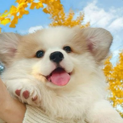 DoraJhg12041's profile picture. Success is not the end, and failure is not fatal. Having the courage to continue is the most important thing.