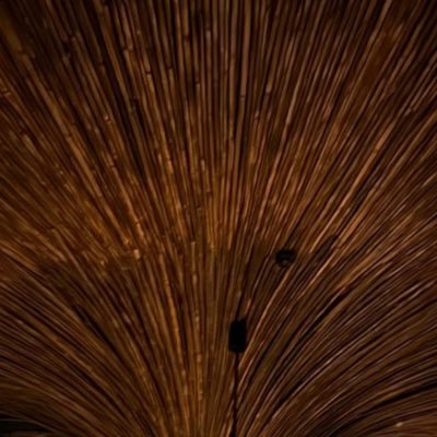 eLucasOliveira6's profile picture. 