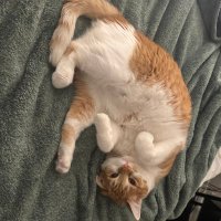 jbladel.bsky.social 🇺🇸 (@bladel) 's Twitter Profile