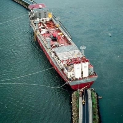 dashianferrol8's profile picture. 