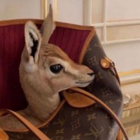 ريـمـي 🦌. (@reemw1234) 's Twitter Profile