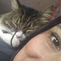 ConejaMora #SML ππ (@laconeja_mfc) 's Twitter Profile