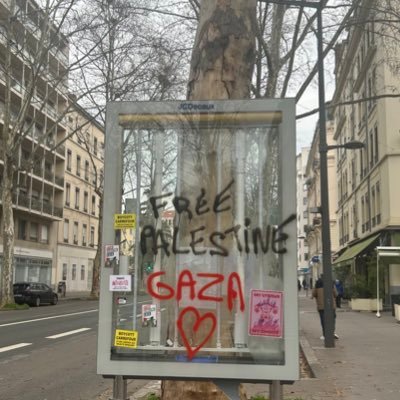 ihssn69's profile picture. 🇩🇿🇵🇸