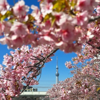 📍Chiba
趣味は旅行✈️と登山⛰️、ビーチです 🏖️、着物👘 私の好きな動物は猫です😺 同じ趣味の方と出会えたらとても嬉しいです😆 無言フォロー失礼します🙇♀️