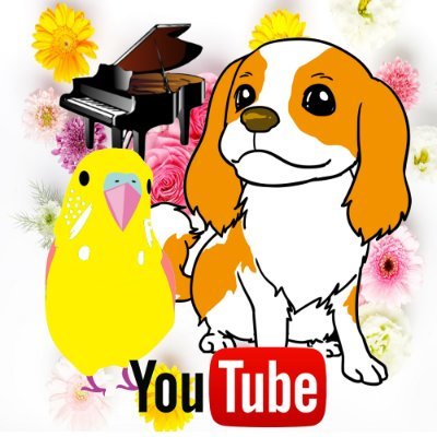 動物💗お花🌸ピアノ🎹が好きな
資格有お花屋さん🌼デザイン🌸動画クリエーター✨
💟YouTube⇒https://t.co/gCvyrQpVgr
🌟口調を真似たなりすまし被害について⇒https://t.co/WV8reZmirj